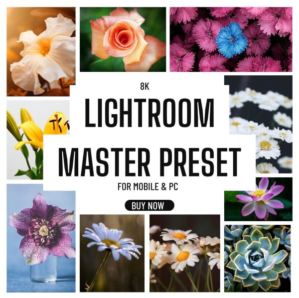 8K Lightroom Master Preset For Mobile & Pc